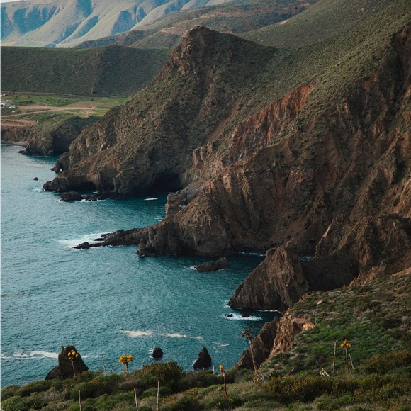 The Silva Family. - Picture 6 of 12